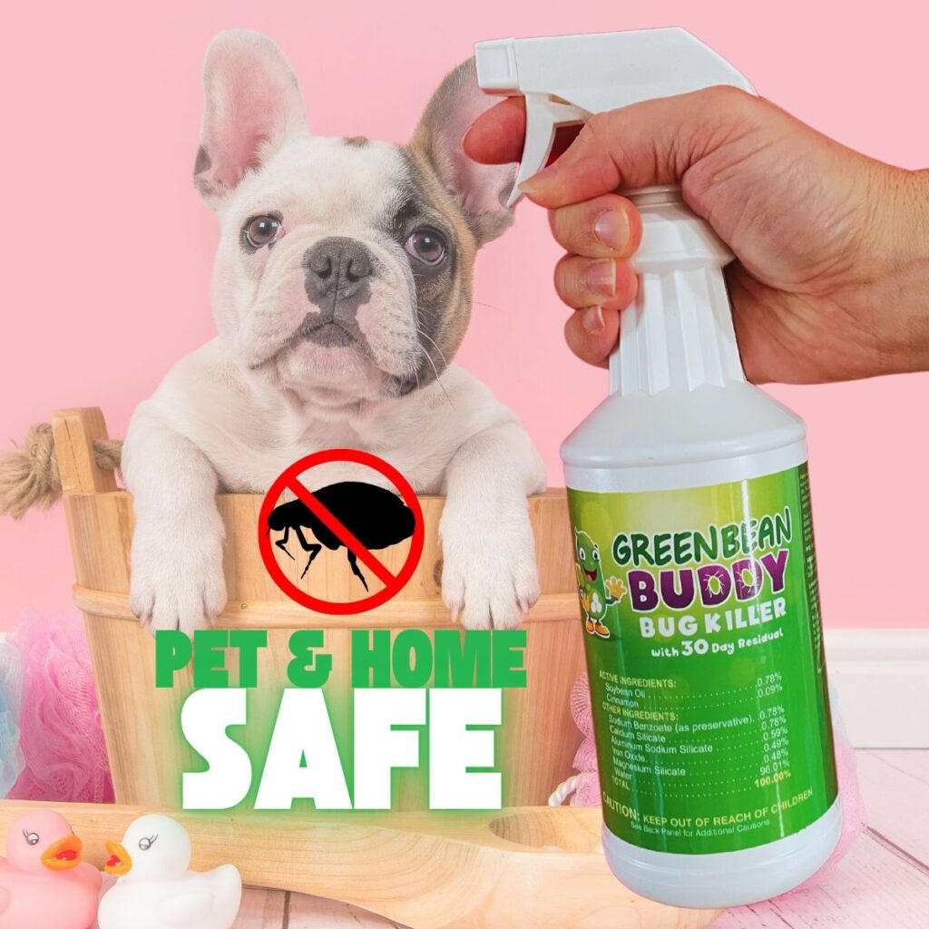 get rid of fleas in home and on pets